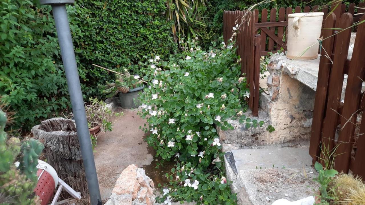Bed&Breakfast Dolce Sorriso Polignano a Mare Exterior foto